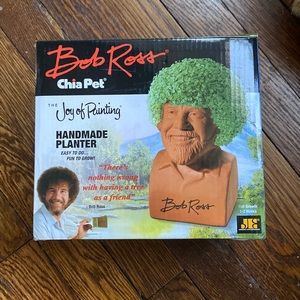 Bob Ross chia pet